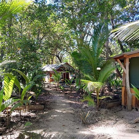 Fully Furnished Family Jungle Tent, Latino Glamping Paquera Hotel Bagian luar foto