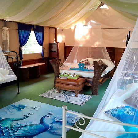 Fully Furnished Family Jungle Tent, Latino Glamping Paquera Bagian luar foto