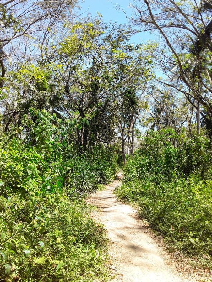 Fully Furnished Family Jungle Tent, Latino Glamping Paquera Bagian luar foto