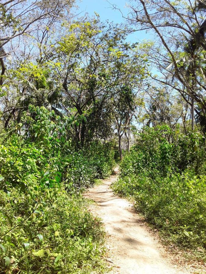 Fully Furnished Family Jungle Tent, Latino Glamping Paquera Hotel Bagian luar foto