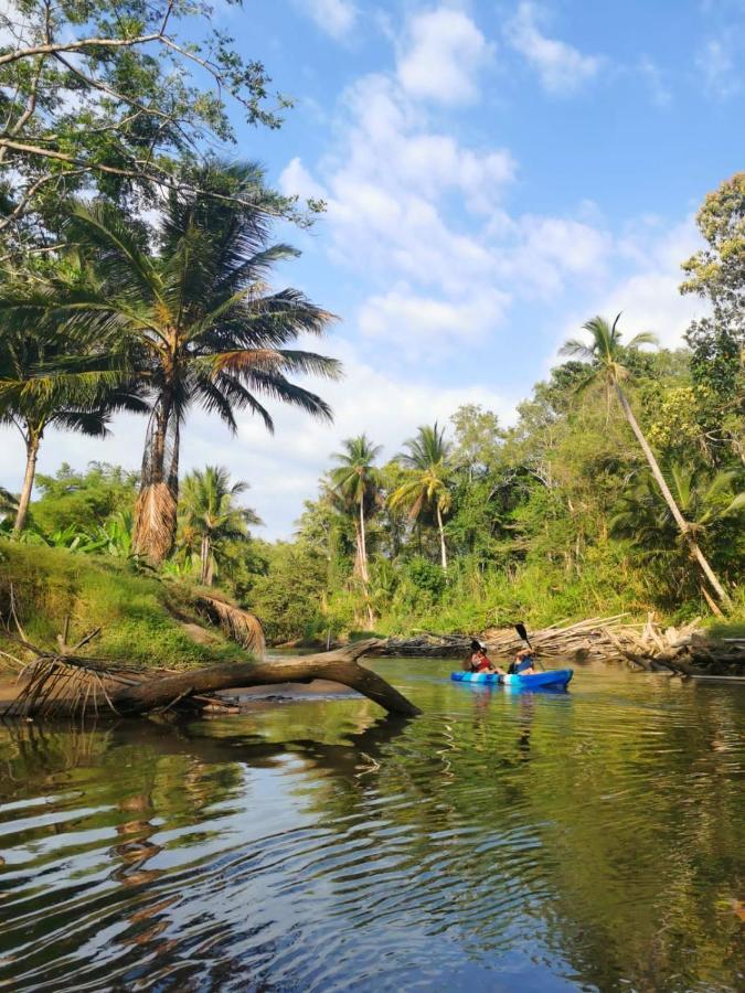 Fully Furnished Family Jungle Tent, Latino Glamping Paquera Bagian luar foto