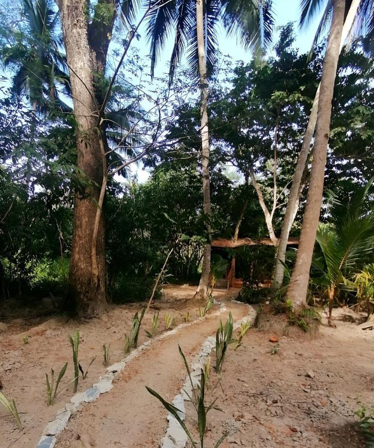Fully Furnished Family Jungle Tent, Latino Glamping Paquera Bagian luar foto