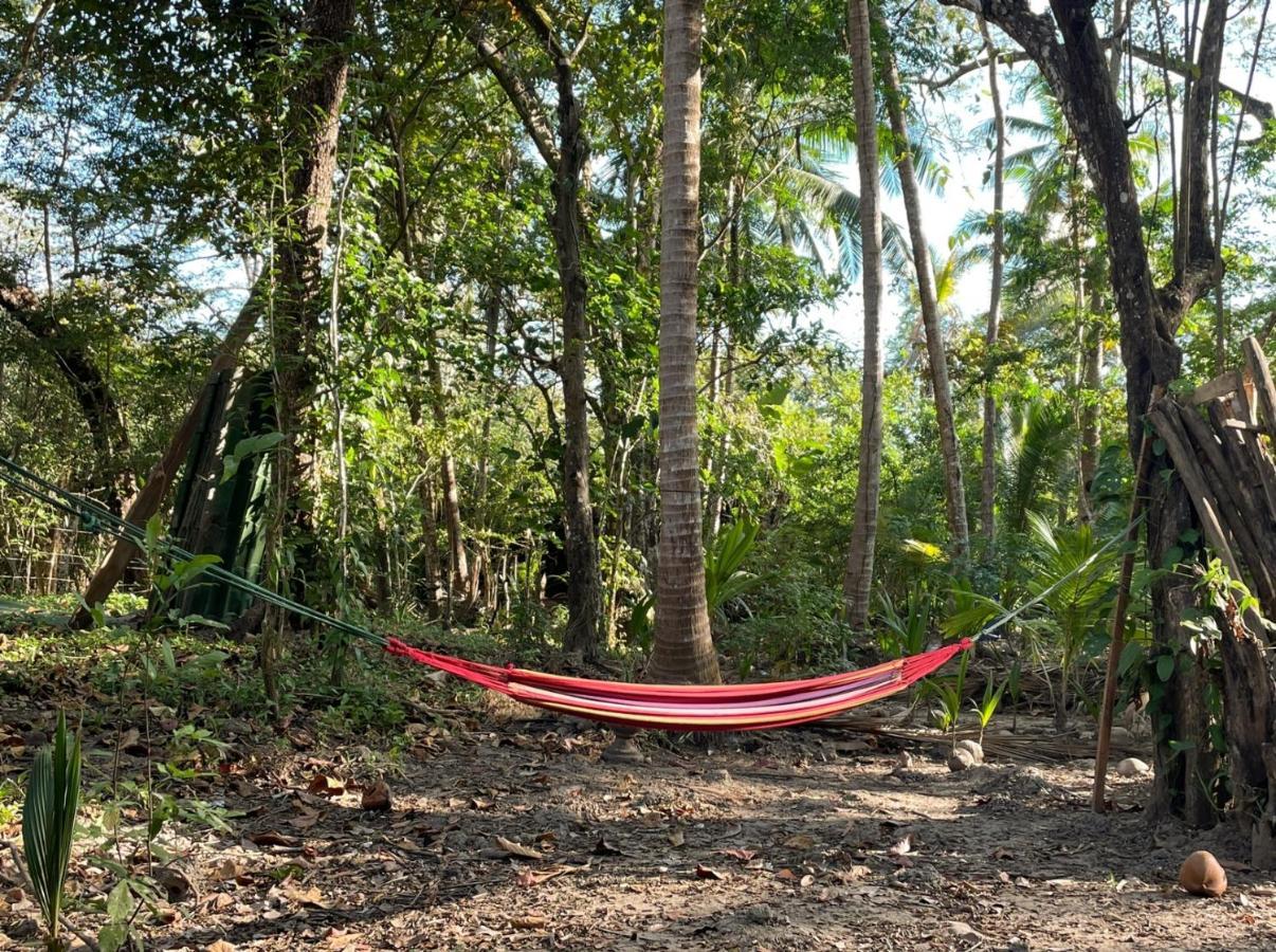 Fully Furnished Family Jungle Tent, Latino Glamping Paquera Hotel Bagian luar foto