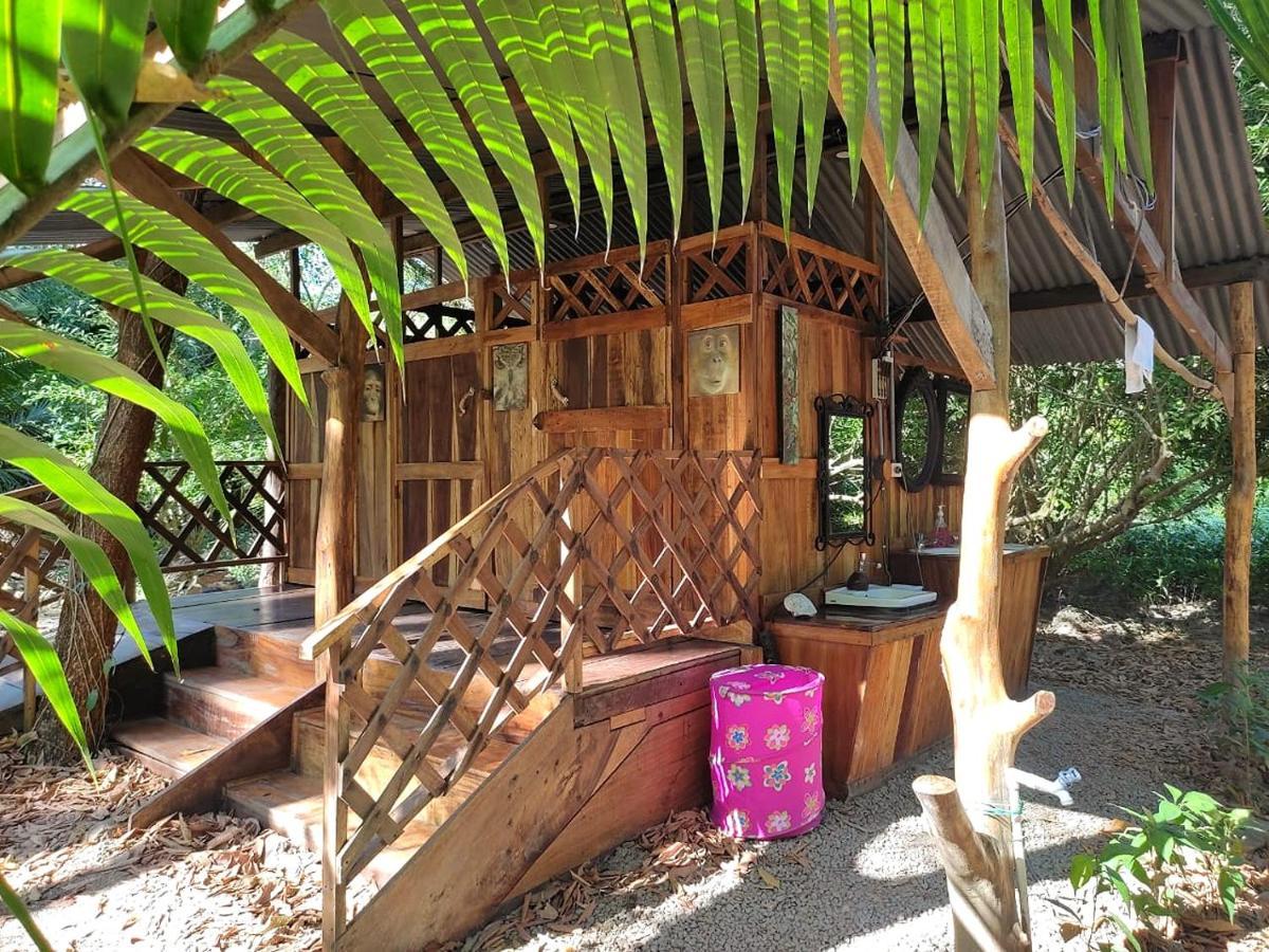 Fully Furnished Family Jungle Tent, Latino Glamping Paquera Hotel Bagian luar foto