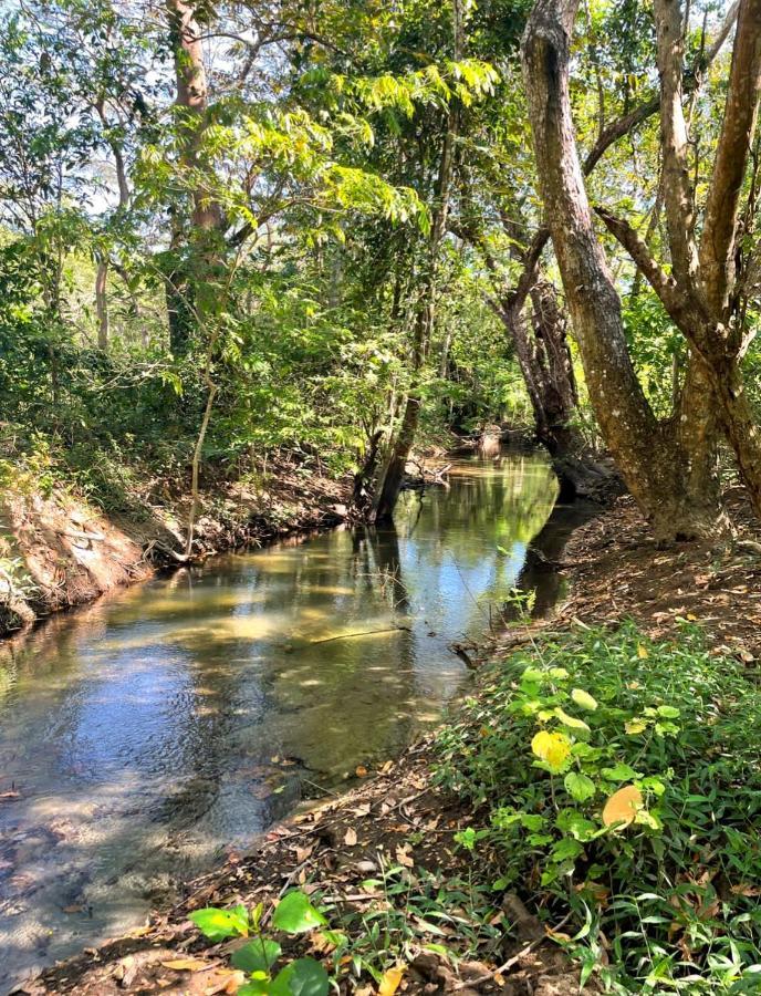 Fully Furnished Family Jungle Tent, Latino Glamping Paquera Hotel Bagian luar foto