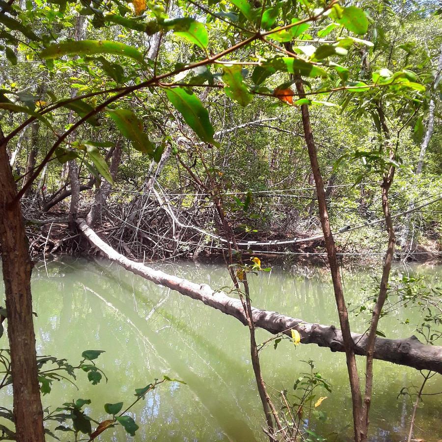 Fully Furnished Family Jungle Tent, Latino Glamping Paquera Hotel Bagian luar foto