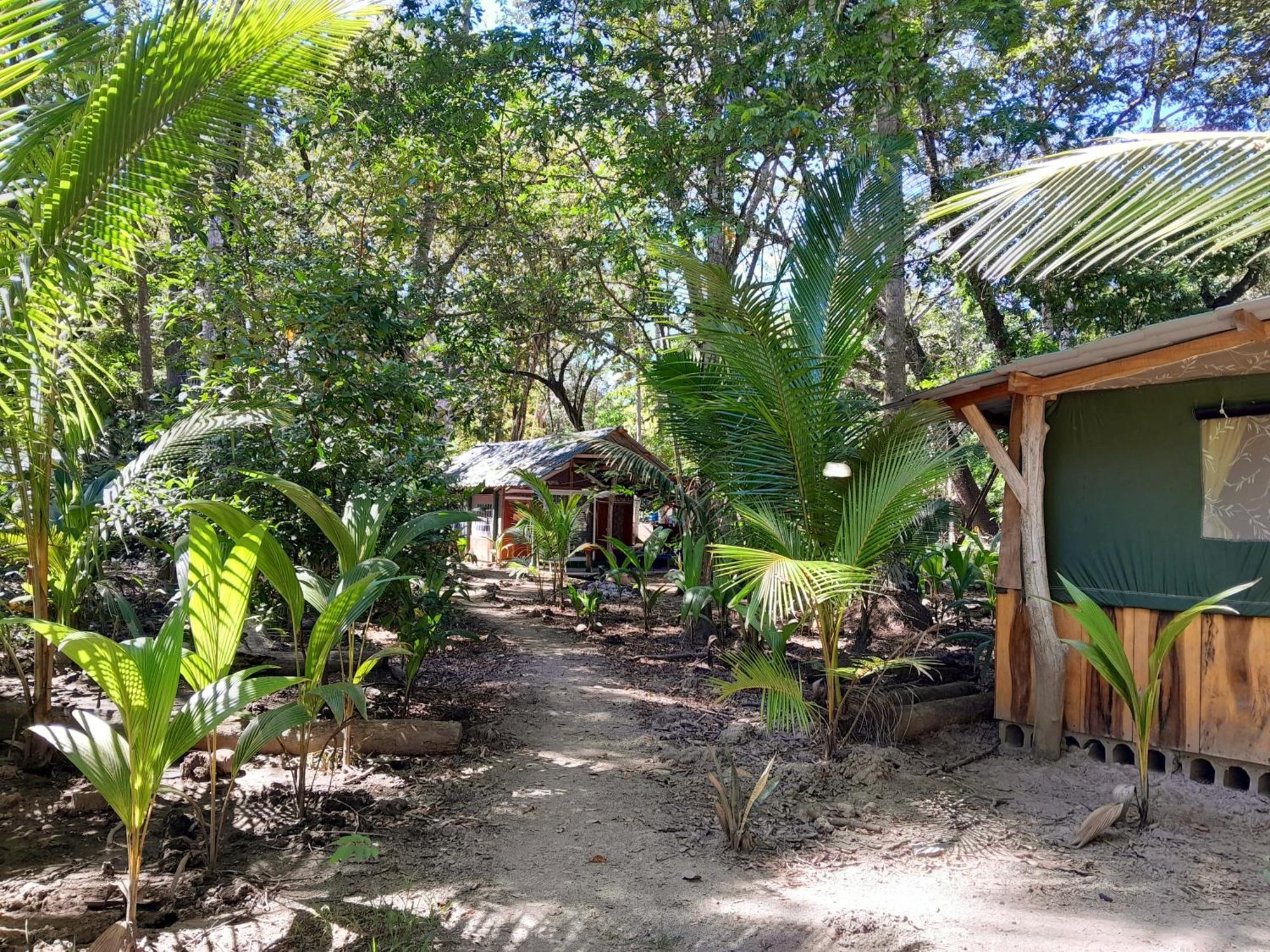 Fully Furnished Family Jungle Tent, Latino Glamping Paquera Hotel Bagian luar foto