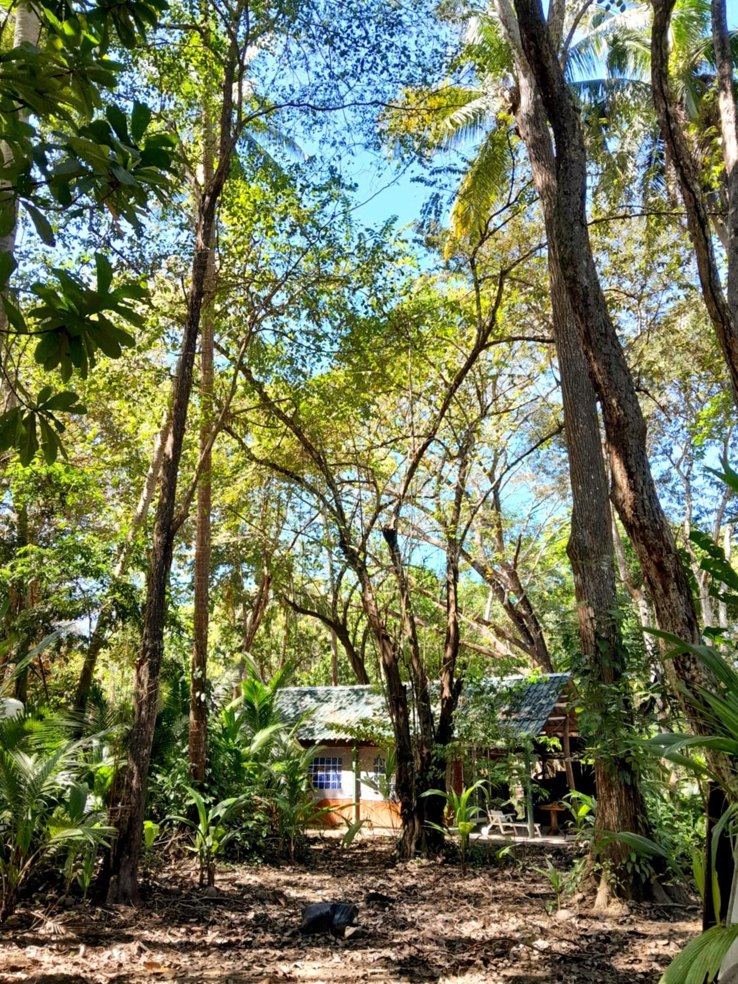 Fully Furnished Family Jungle Tent, Latino Glamping Paquera Hotel Bagian luar foto