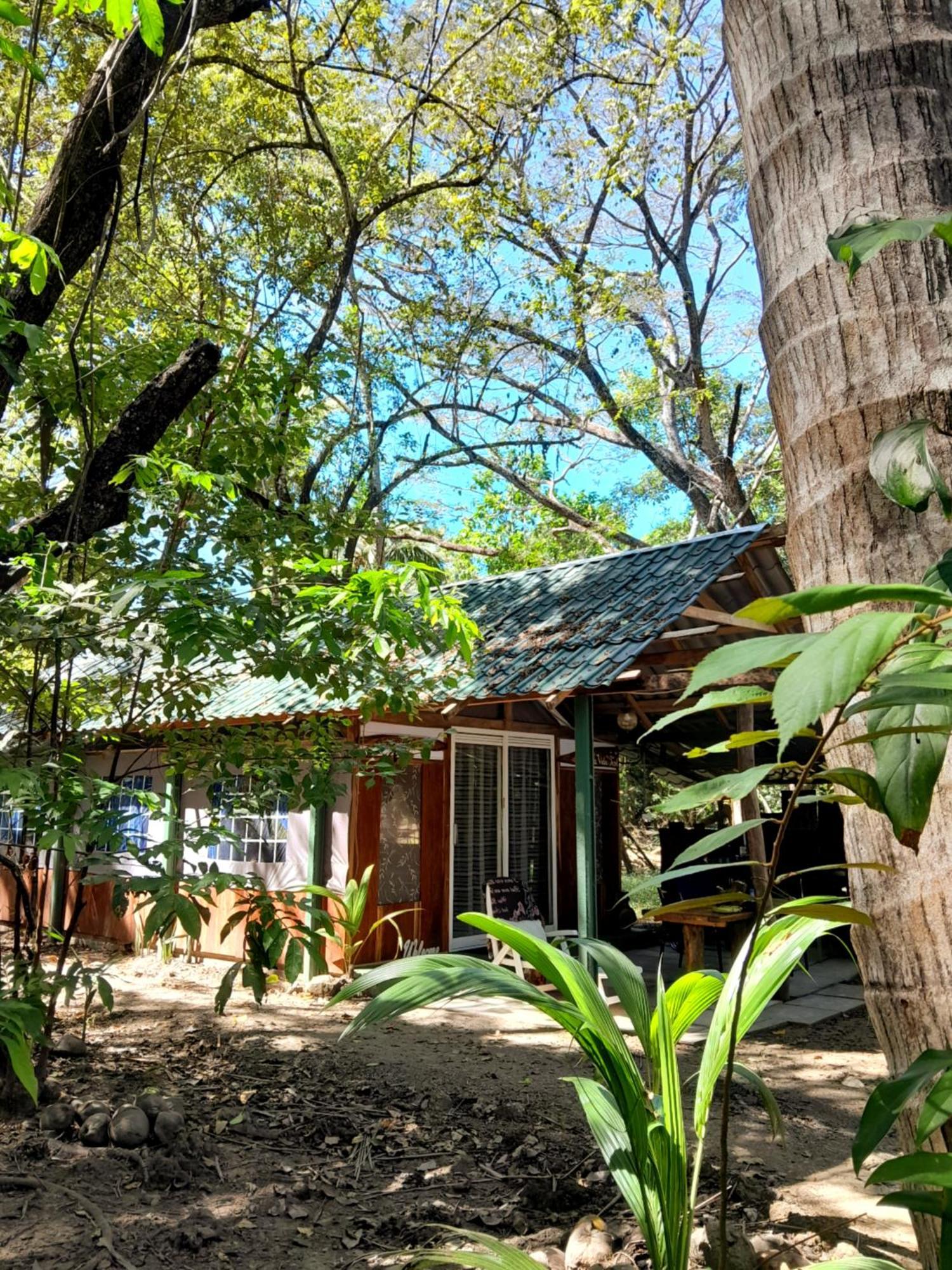 Fully Furnished Family Jungle Tent, Latino Glamping Paquera Bagian luar foto