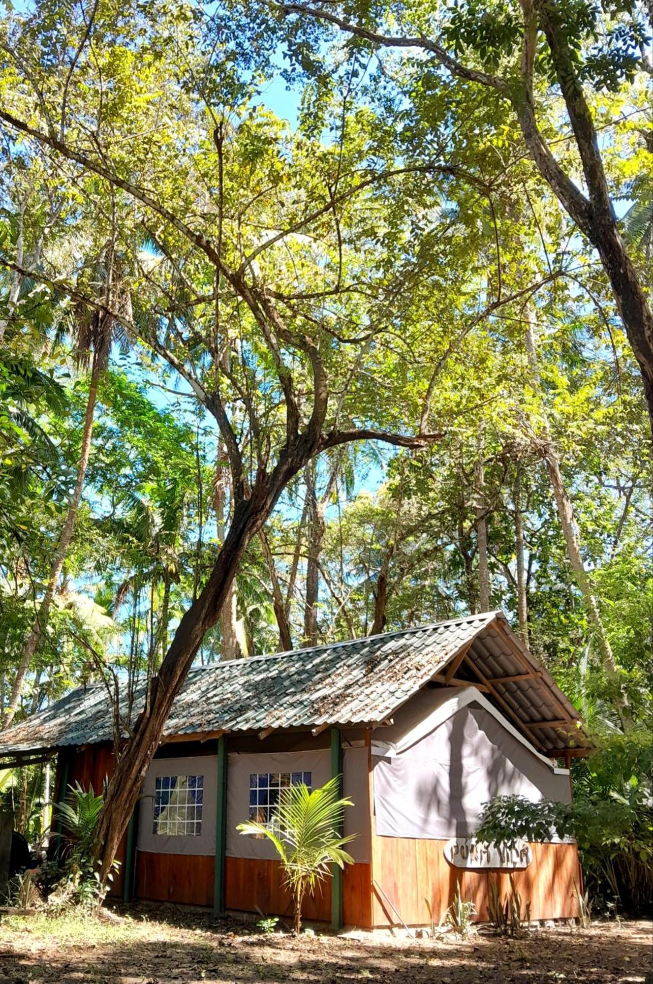 Fully Furnished Family Jungle Tent, Latino Glamping Paquera Bagian luar foto
