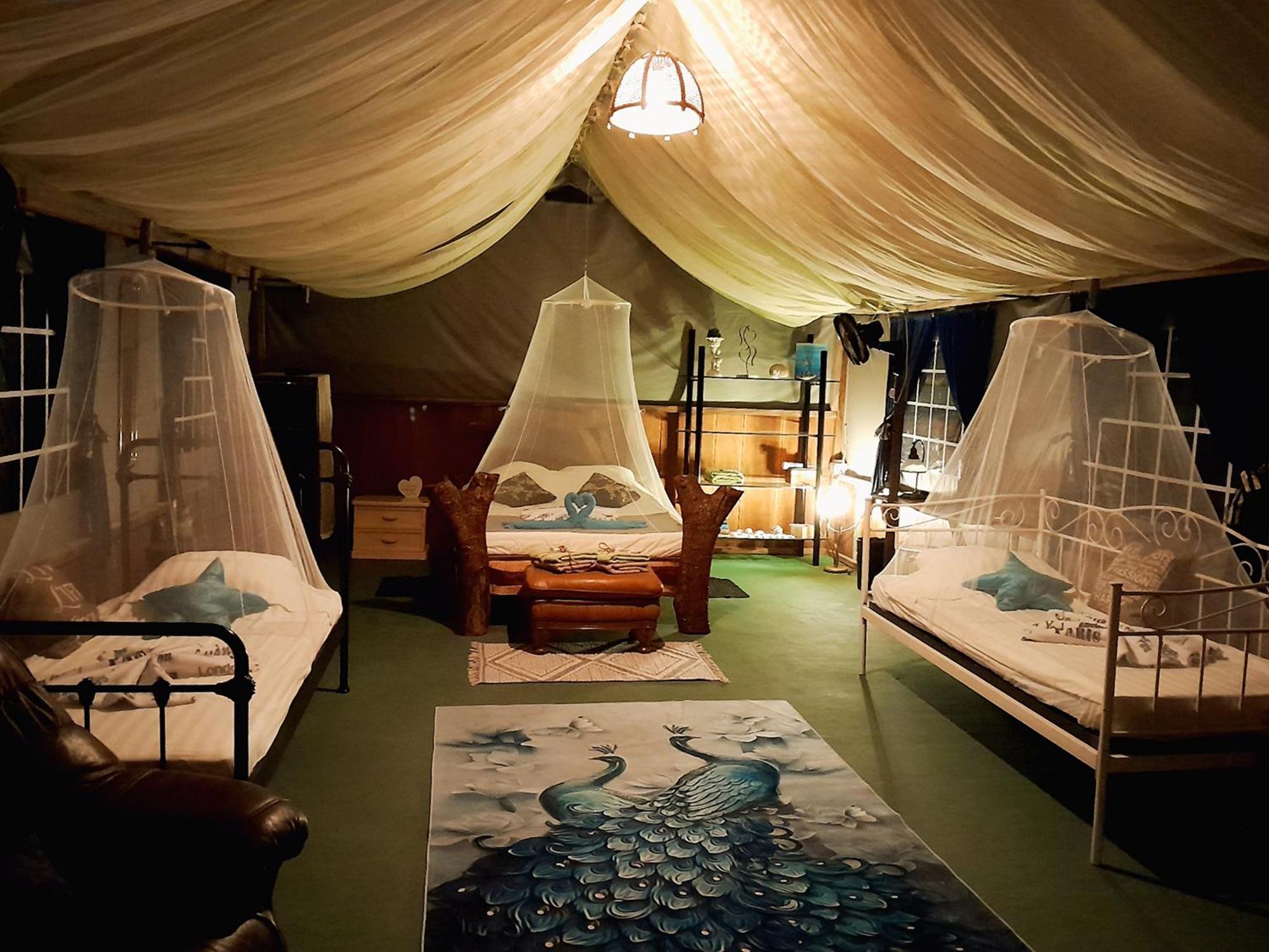 Fully Furnished Family Jungle Tent, Latino Glamping Paquera Bagian luar foto