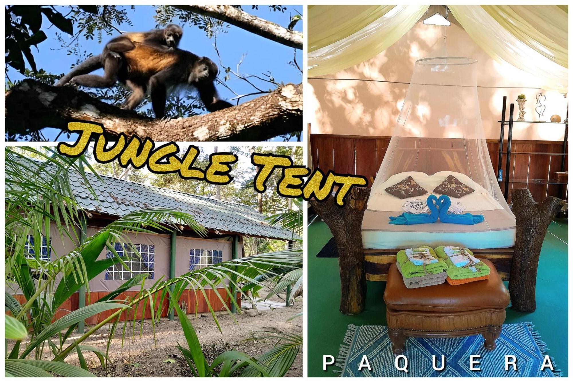 Fully Furnished Family Jungle Tent, Latino Glamping Paquera Bagian luar foto