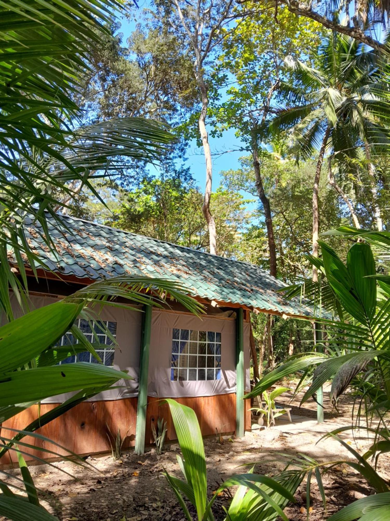 Fully Furnished Family Jungle Tent, Latino Glamping Paquera Bagian luar foto