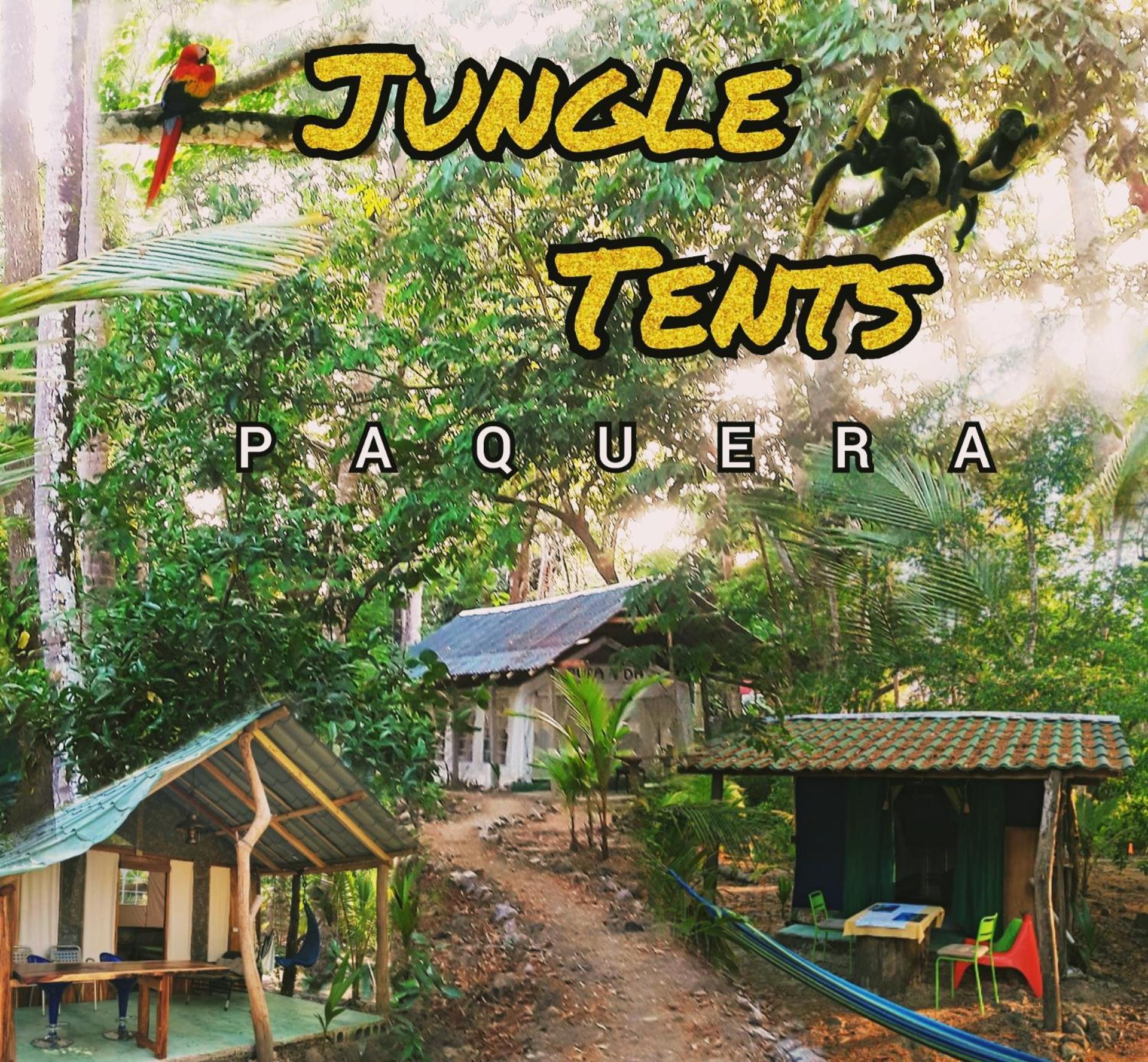 Fully Furnished Family Jungle Tent, Latino Glamping Paquera Bagian luar foto