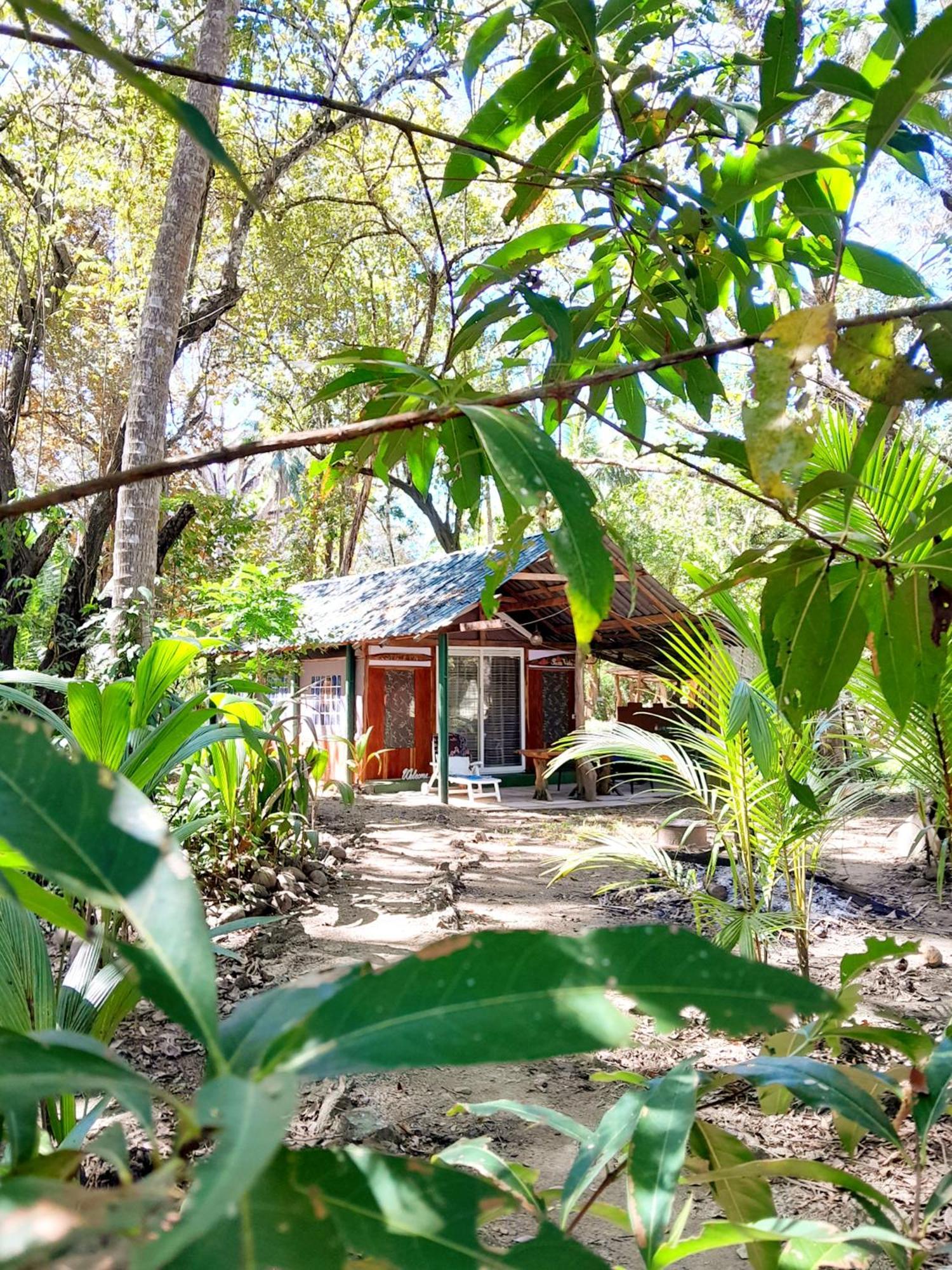 Fully Furnished Family Jungle Tent, Latino Glamping Paquera Hotel Bagian luar foto