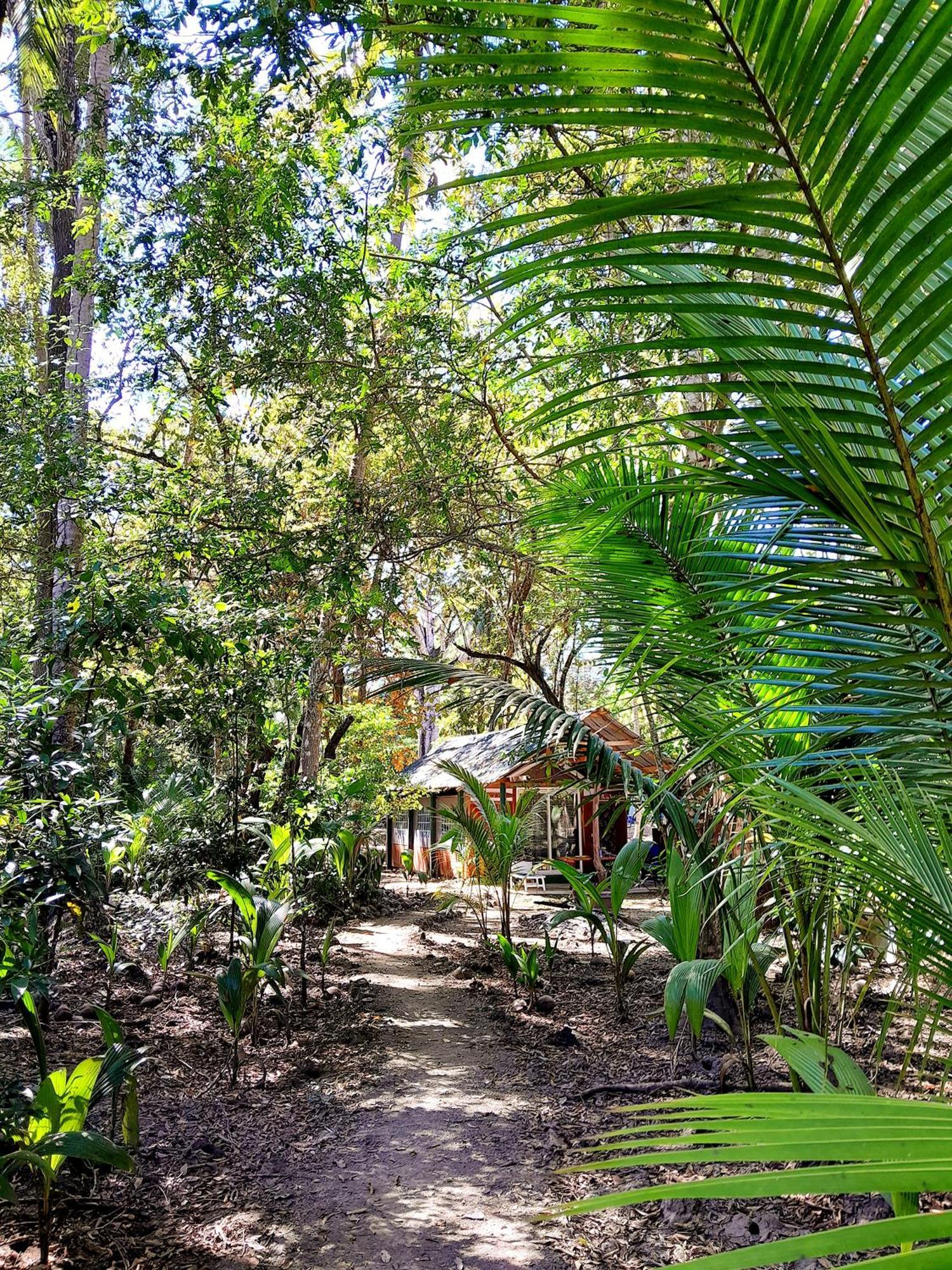 Fully Furnished Family Jungle Tent, Latino Glamping Paquera Hotel Bagian luar foto