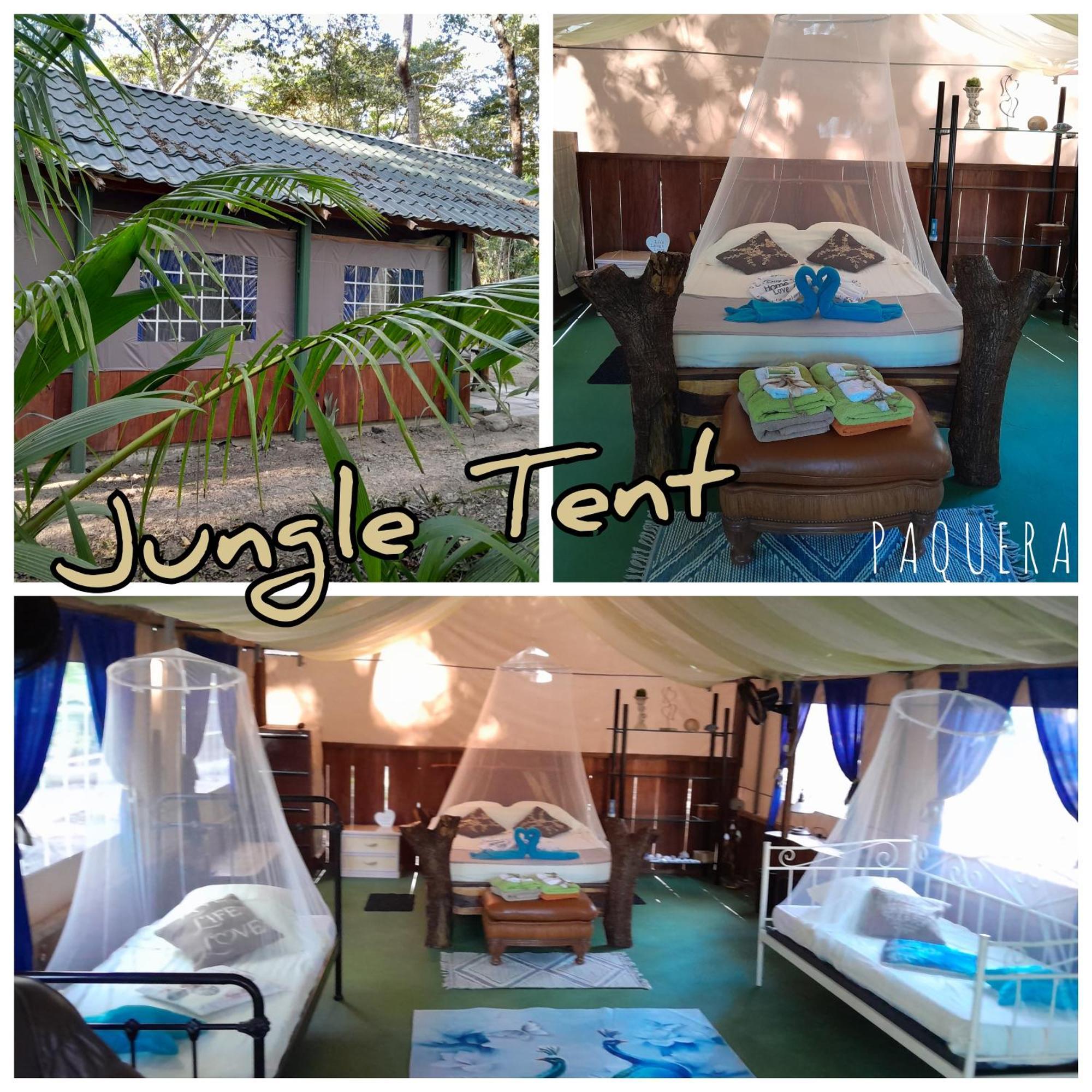 Fully Furnished Family Jungle Tent, Latino Glamping Paquera Bagian luar foto