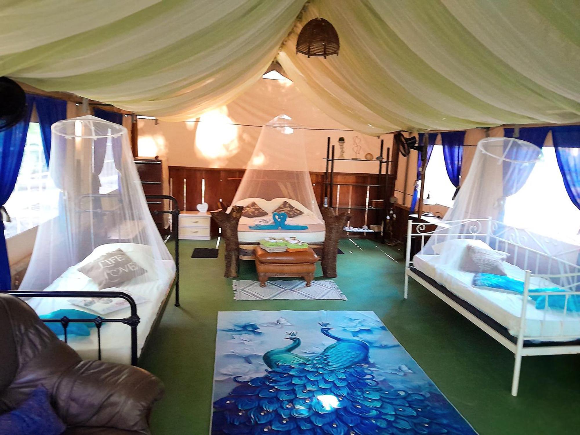 Fully Furnished Family Jungle Tent, Latino Glamping Paquera Bagian luar foto