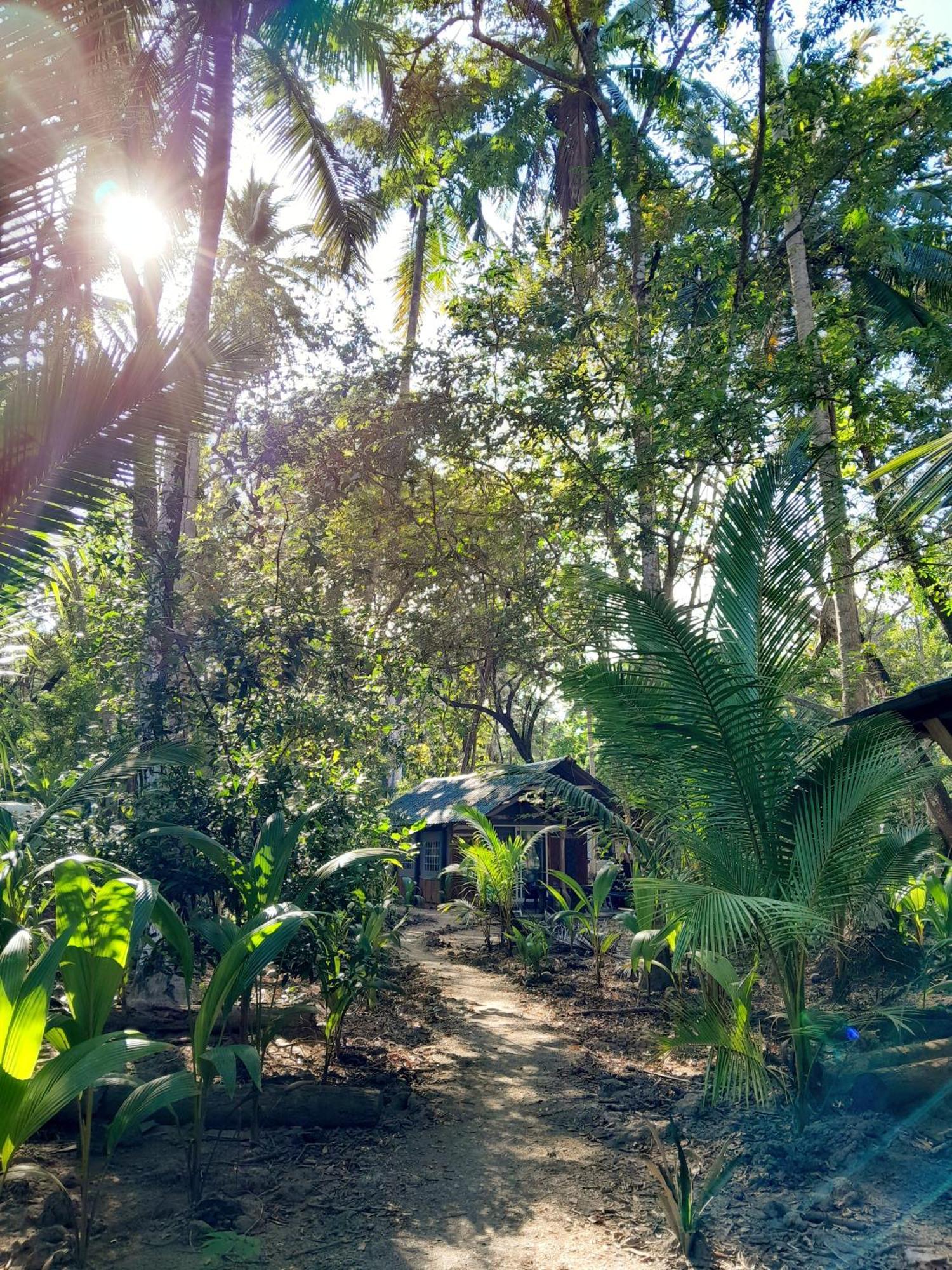 Fully Furnished Family Jungle Tent, Latino Glamping Paquera Hotel Bagian luar foto